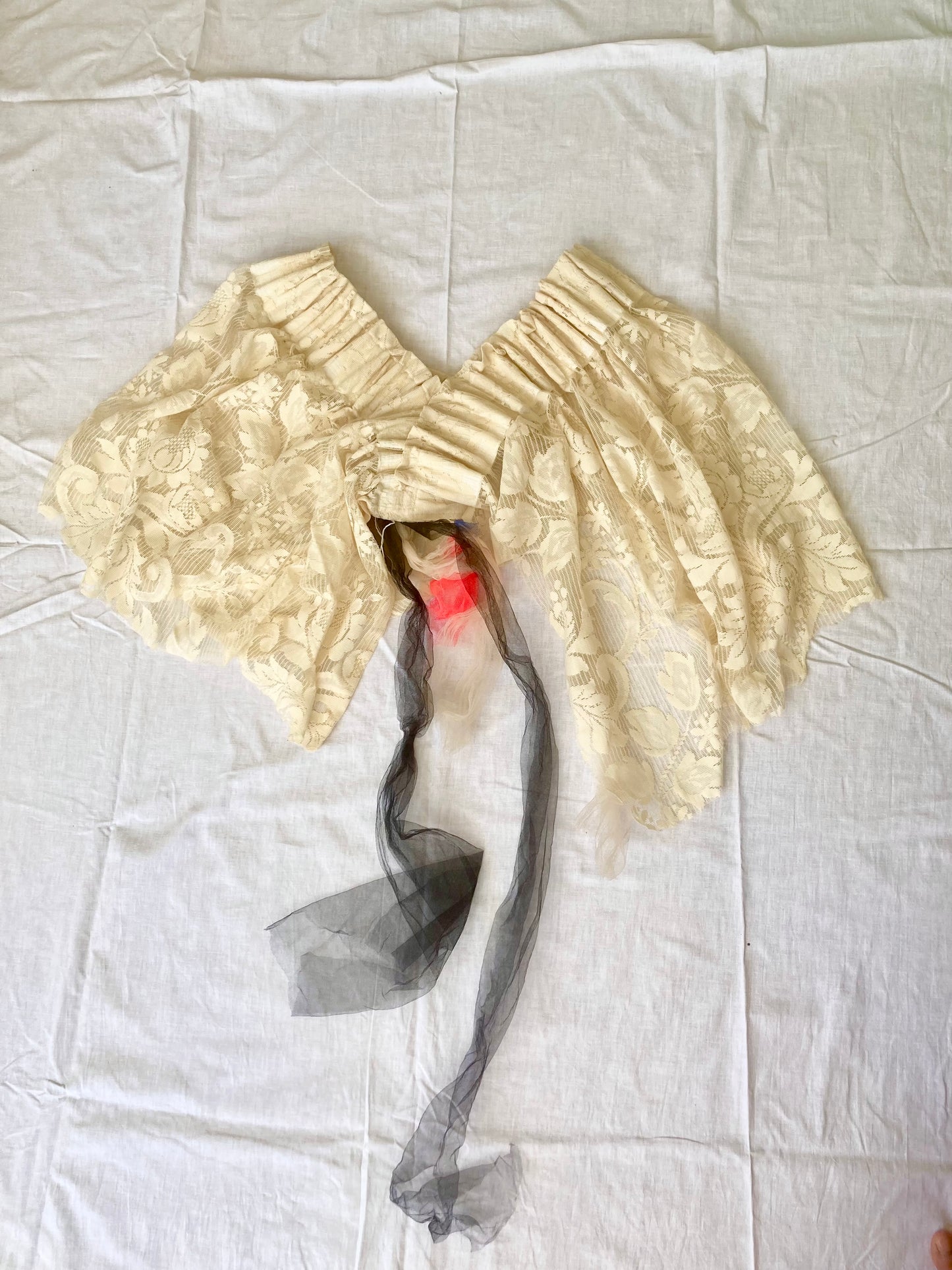 CARRY DENTELLE | Transparence